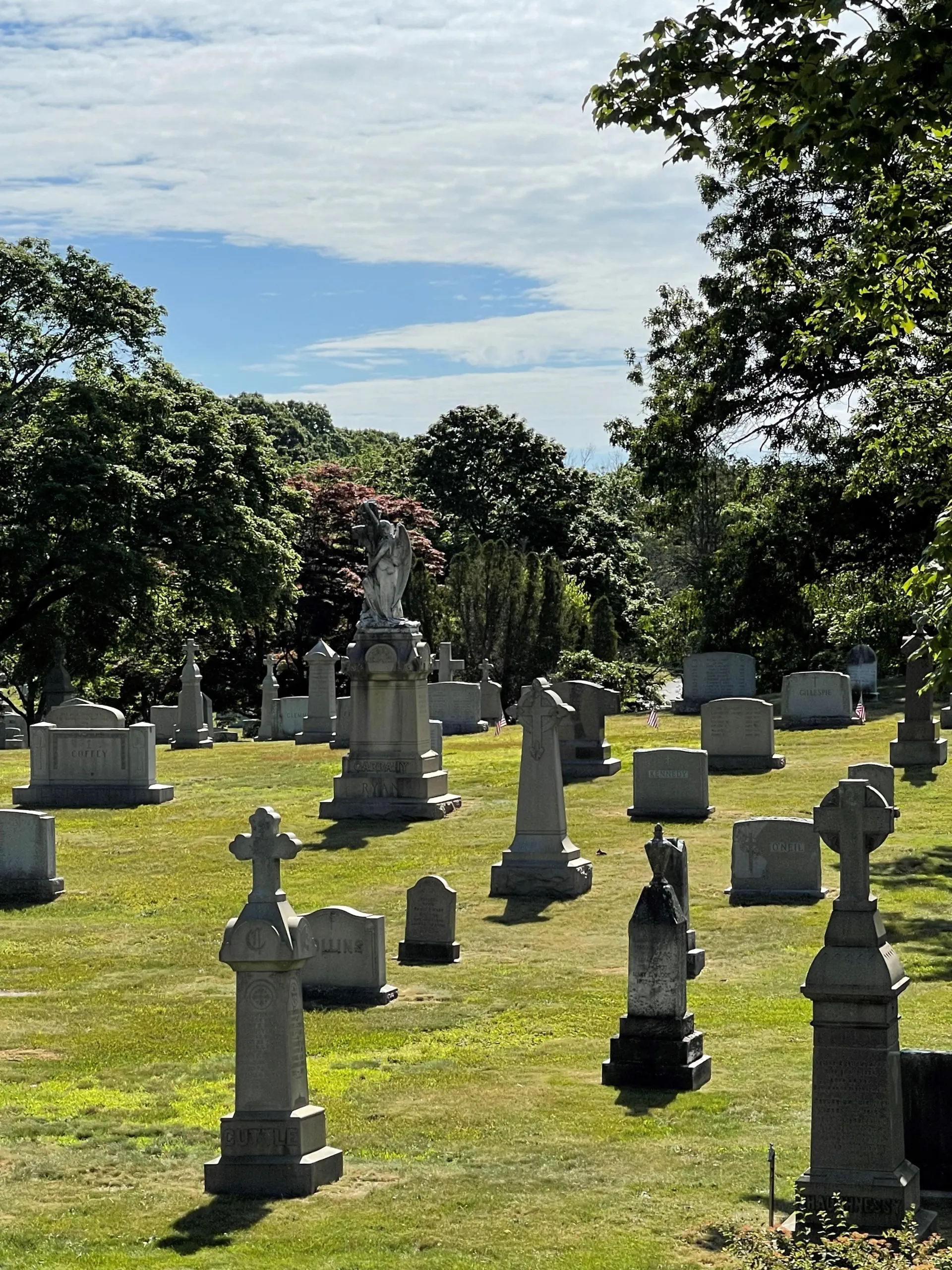 Rows of different kinds of upright headstones