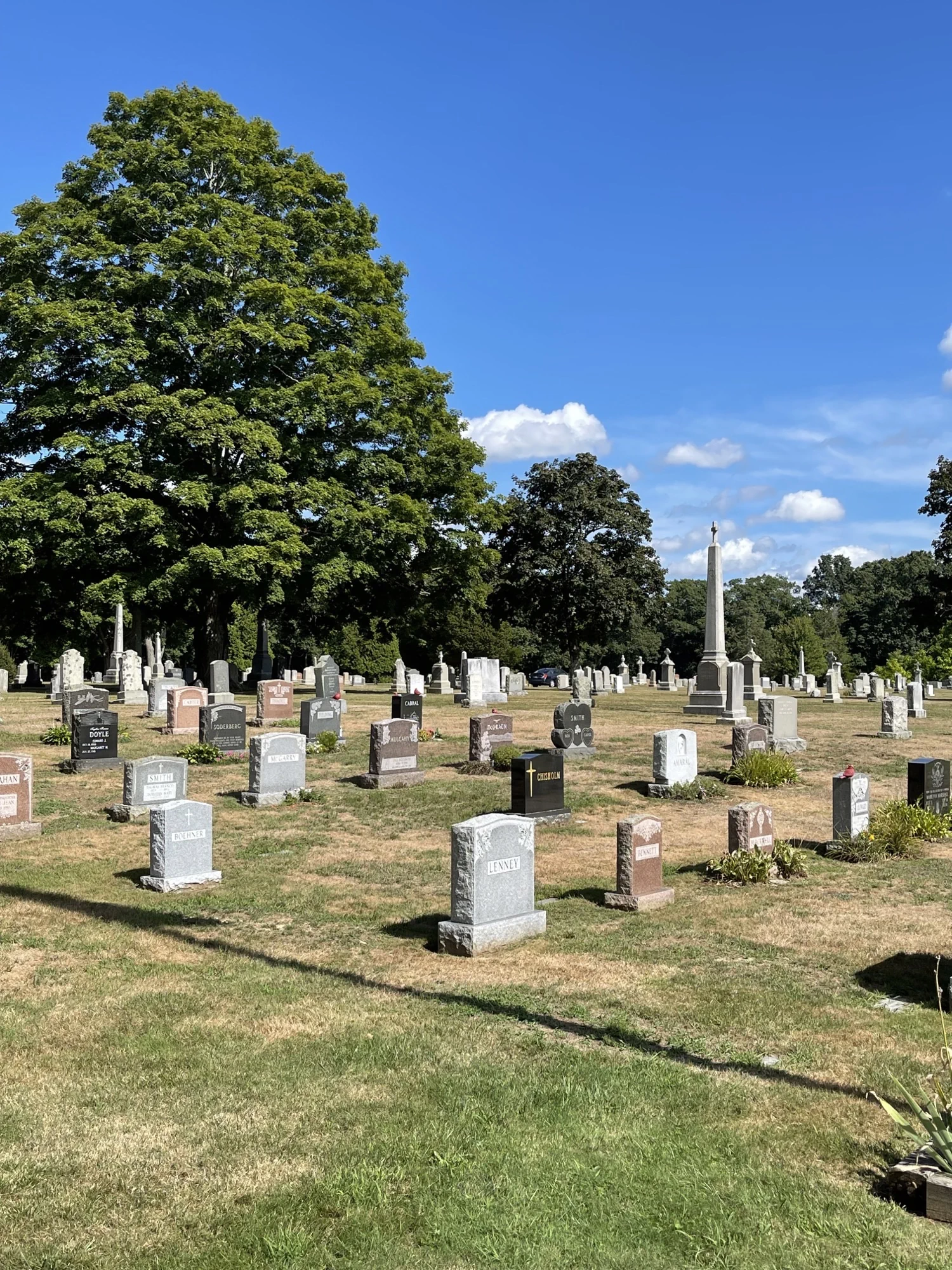 Rows of upright headstones and mature trees in the background