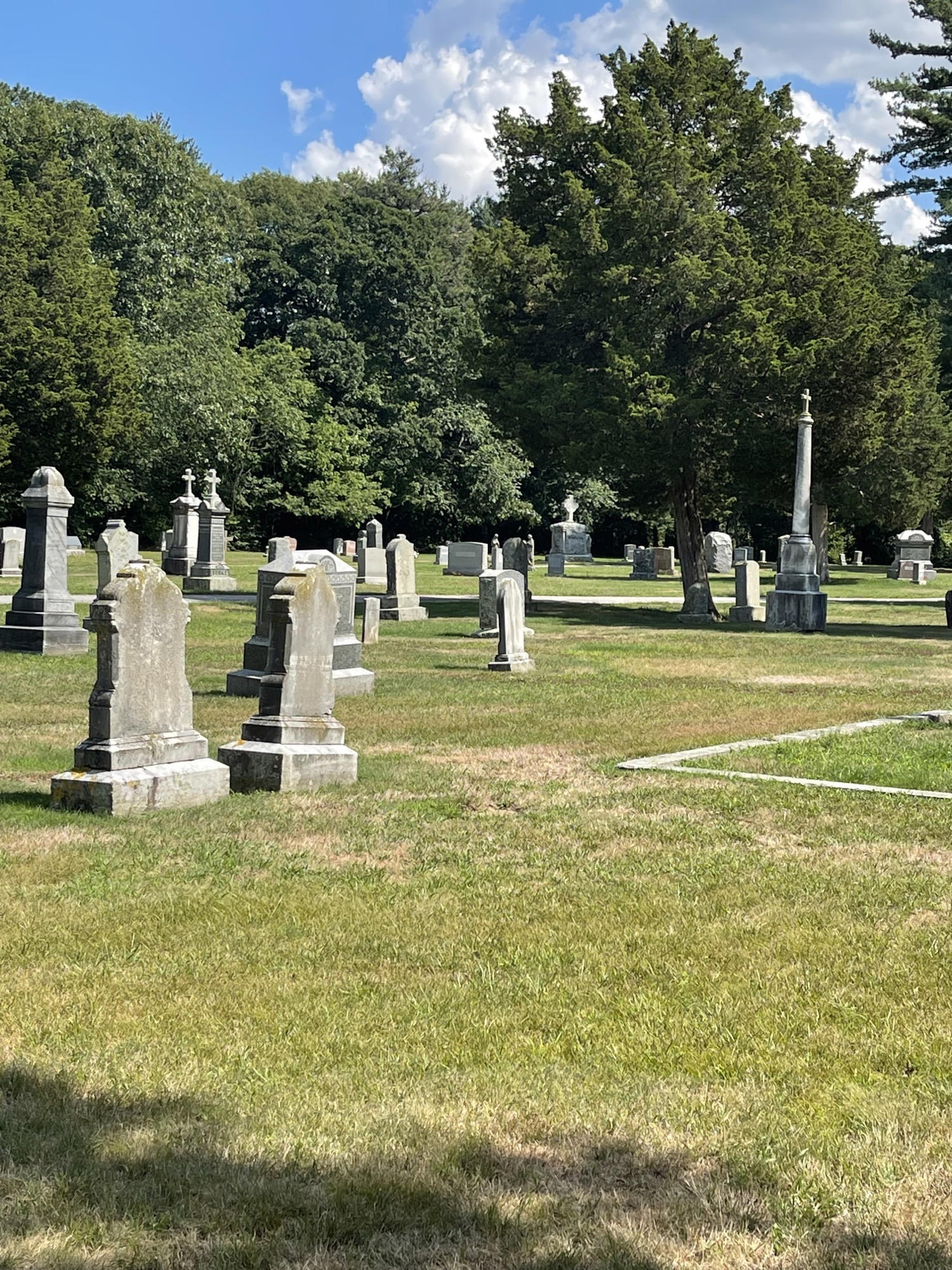 Headstones of different sizes and an obelisk surrounded by large mature trees